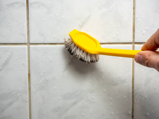 Mold Testing and Removal in Laguna Hills, CA