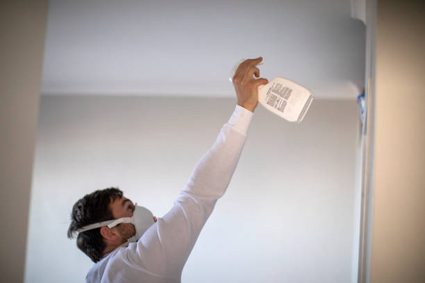 Best Fast Mold Removal  in Laguna Hills, CA