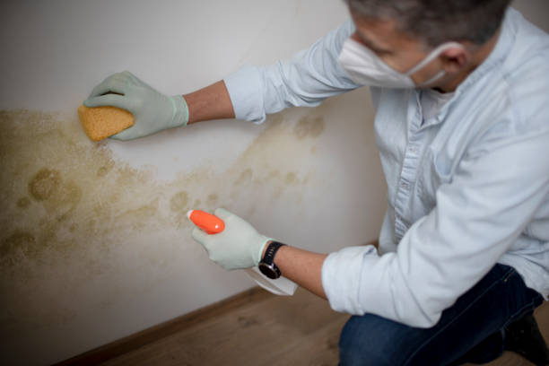 Best Crawl Space Mold Removal  in Laguna Hills, CA