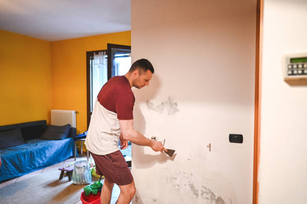 Best Attic Mold Removal  in Laguna Hills, CA